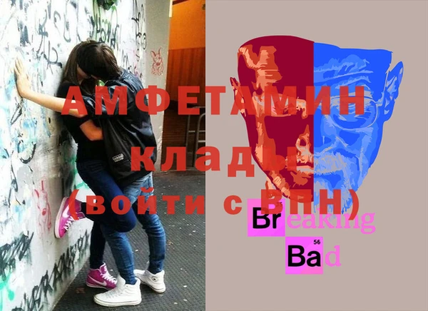 мдпв Дмитриев