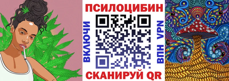сколько стоит  Каменногорск  omg сайт  Галлюциногенные грибы Cubensis 