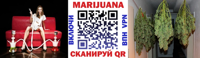 omg как войти  Каменногорск  Бошки Шишки план  как найти  
